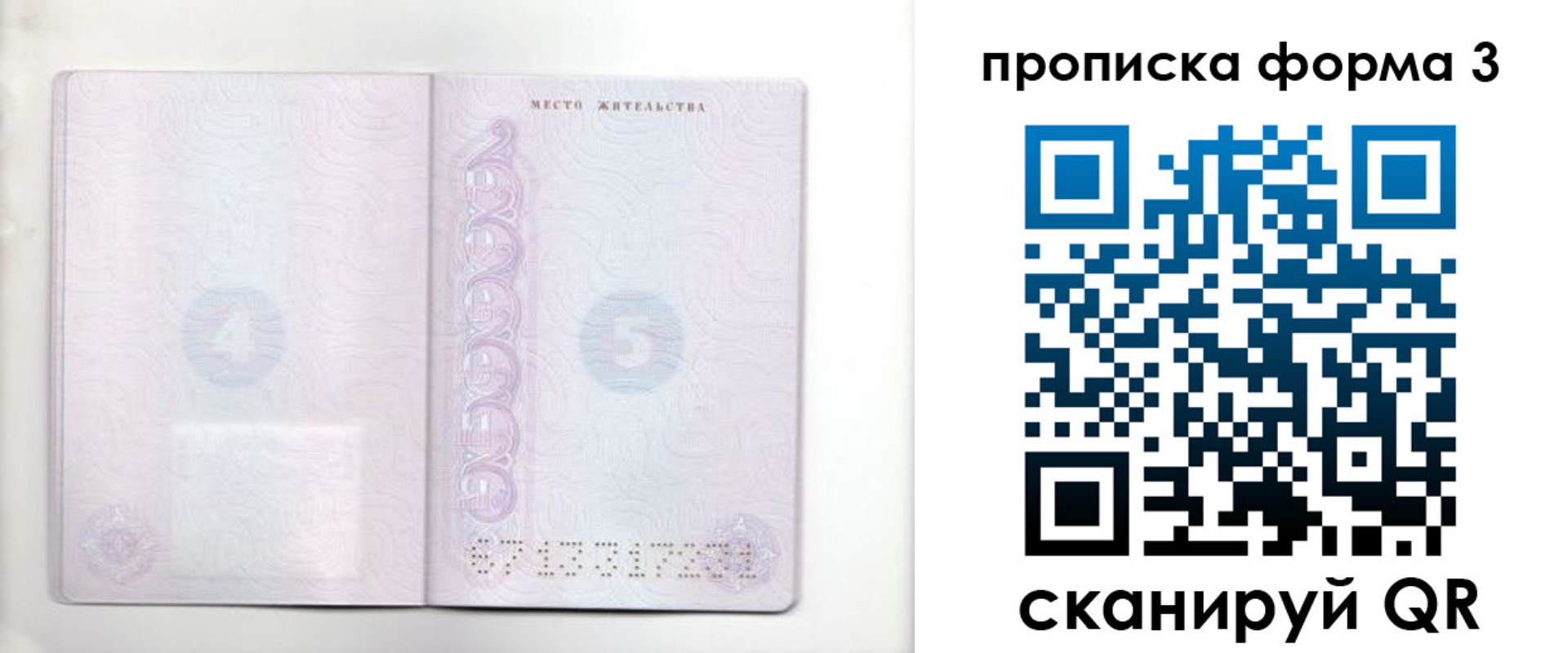 прописка гарантия в Протвино